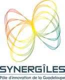 Synerg'îles